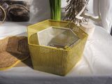 a yellow basket with a plant in it on a table