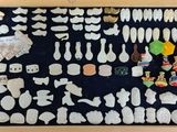 une photo d'un cadre-vitrine contenant divers objets