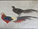 painting of two pheasants on a beige background with chinese writing