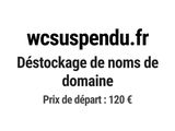 Photo 1/1 du lot