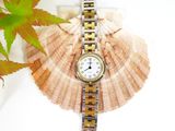 a watch sitting on top of a shell next to a plant