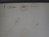 a piece of paper that has been written on it