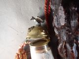 a bird sitting on top of a glass bottle