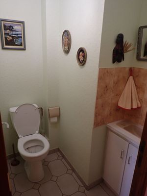 une salle de bains équipée de toilettes, d'un lavabo, d'un miroir et de tableaux accrochés au mur