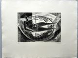 une image représentant un dessin en noir et blanc d'un chat dans une cage