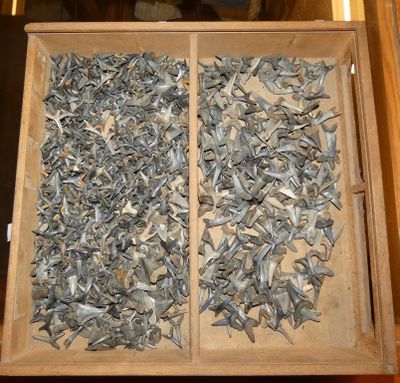 une boîte en bois remplie d'une multitude de petits morceaux de métal
