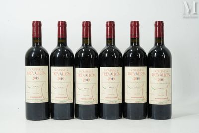 six bouteilles de vin rouge alignées sur une surface blanche