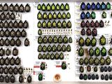 many different beetles on display in a display case