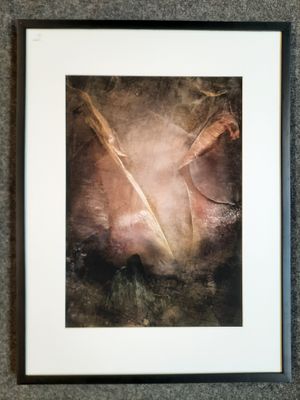 COLIGNON Philippe. Photographe et peintre, XXème siècle. Com…