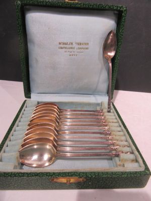 six cuillères dans une boîte verte contenant une cuillère