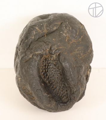 an image of a sculpture of a rock with a hole in it
