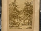 une vieille photo d'une photo représentant une maison dans les bois