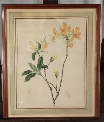 tableau représentant des fleurs jaunes, encadré dans un cadre en bois et posé sur une table