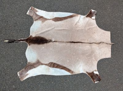 an image of a cow skin on the ground
