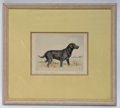 painting of a black dog in a yellow frame on a white wall