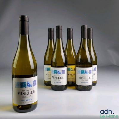 six bottles of white wine are lined up on a table