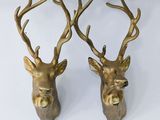 une paire de têtes de cerfs en laiton avec des bois, sur fond blanc