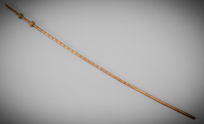 une image représentant un long bâton en bois d'où sort une flèche