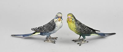 two birds standing next to each other on a white surface