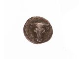 une image représentant une pièce de monnaie sur laquelle figure une tête de taureau