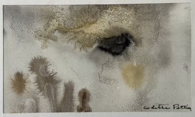 une photo du visage d'un ours polaire dans la neige