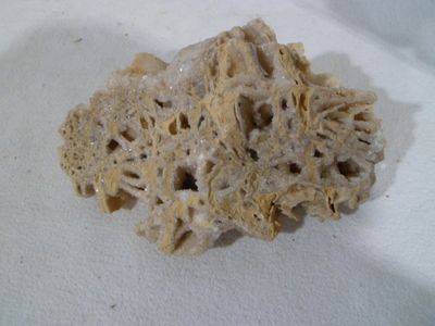 a small piece of rock that is on a white surface