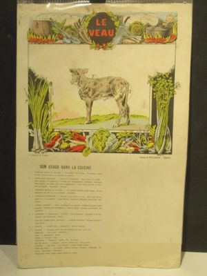 une photo d'une photo représentant une vache dans un champ