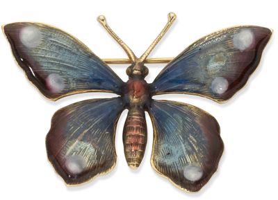 broche représentant un papillon bleu et rouge sur fond blanc