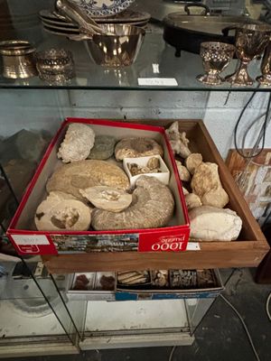 une vitrine contenant divers objets