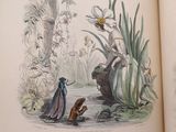 an open book with illustrations of animals and birds in it