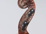 a close up of a fiddle head with a wooden stick in the foreground