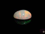 an oplite is shown in the dark with a black background