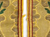 a close up of a yellow and green jacket with red trims