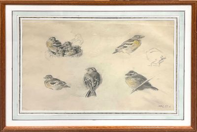 dessin représentant un groupe d'oiseaux perchés sur une table