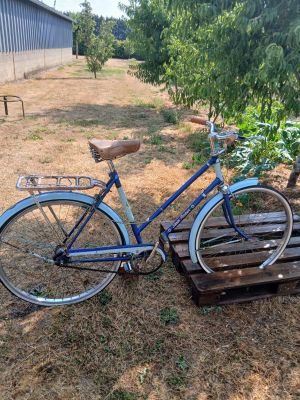 a blue bicycle that is parked on a wooden platform