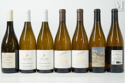 plusieurs bouteilles de vin sont alignées sur une table