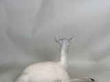 a statue of a deer that is laying down on the ground