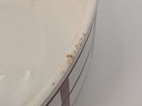 a white bowl with a brown stripe on it