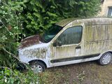 une camionnette garée dans l'herbe à côté d'un arbre