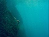 vue sous-marine d'une personne nageant dans l'océan avec une planche de surf