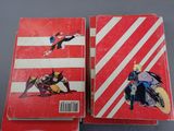 two red books with batman and catwoman illustrations on them