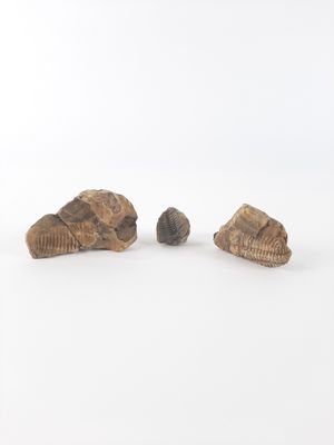 three pieces of wood sitting next to each other on top of a white surface