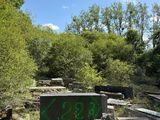 a lot of graffiti on the side of a hill
