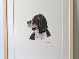 an image of a black and white dog portrait in a wooden frame