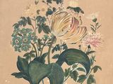 Photo 3/8 du lot