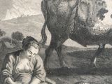 a drawing of a woman kneeling in front of a cow