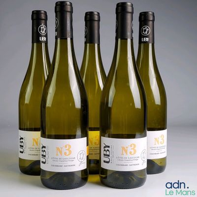trois bouteilles de vin blanc posées les unes à côté des autres sur une table