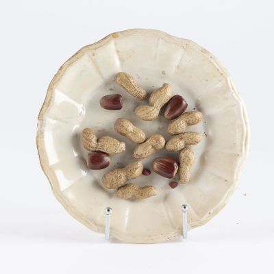 une assiette blanche sur laquelle sont disposés des noix, posée sur une surface blanche
