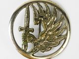 a gold brooch with a bird and a sword in it
