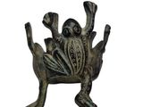 une grenouille assise sur un morceau de métal